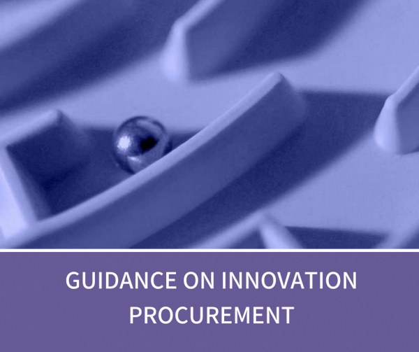 SERN recommendations considered for the EC “Guidance on Innovation Procurement”