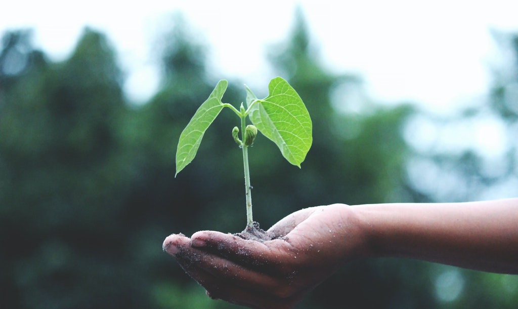 Green EU Taxonomy Towards the Climate Neutrality
