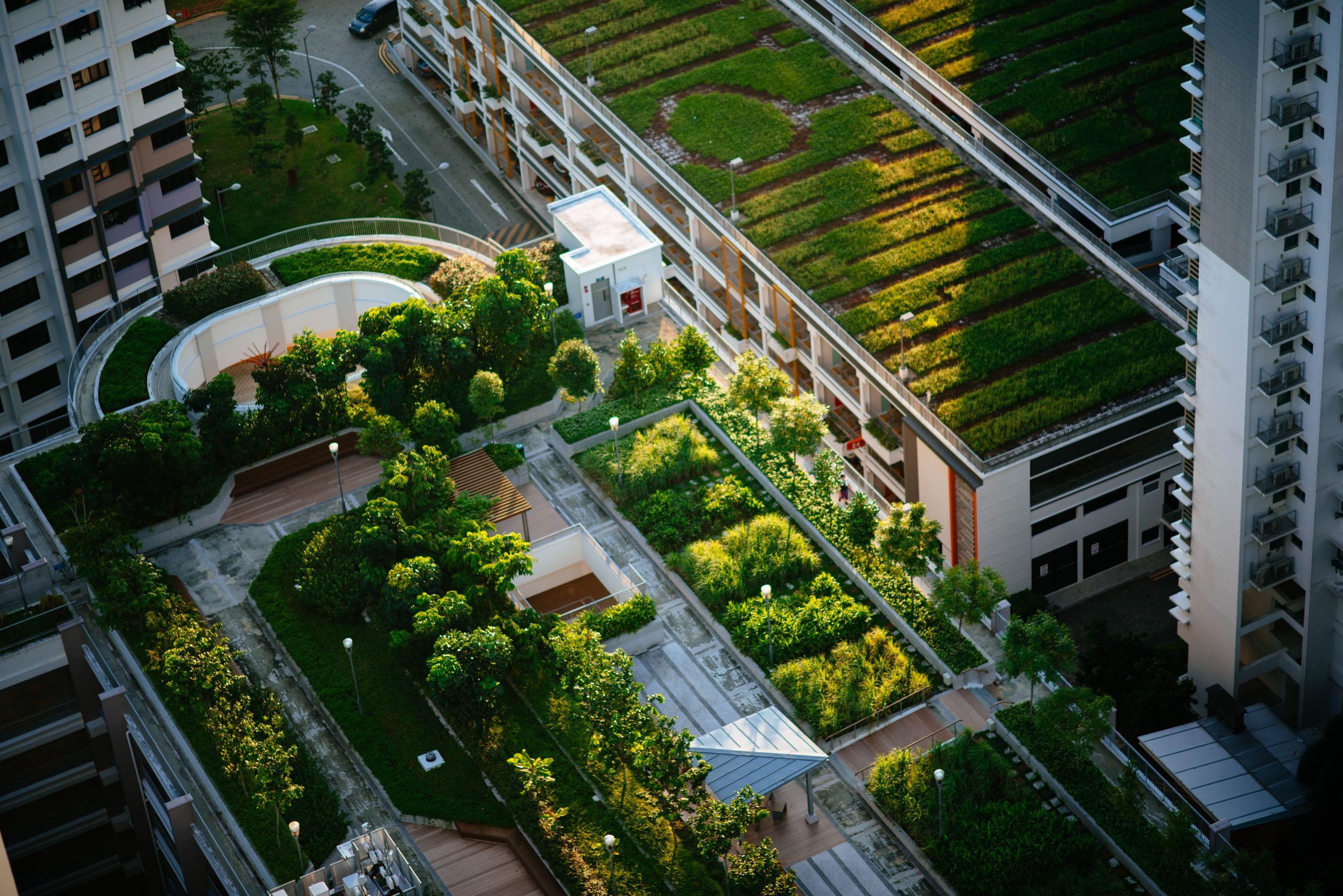 climate-neutral cities