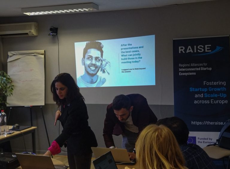 RAISE 2nd Co-Creation Workshop