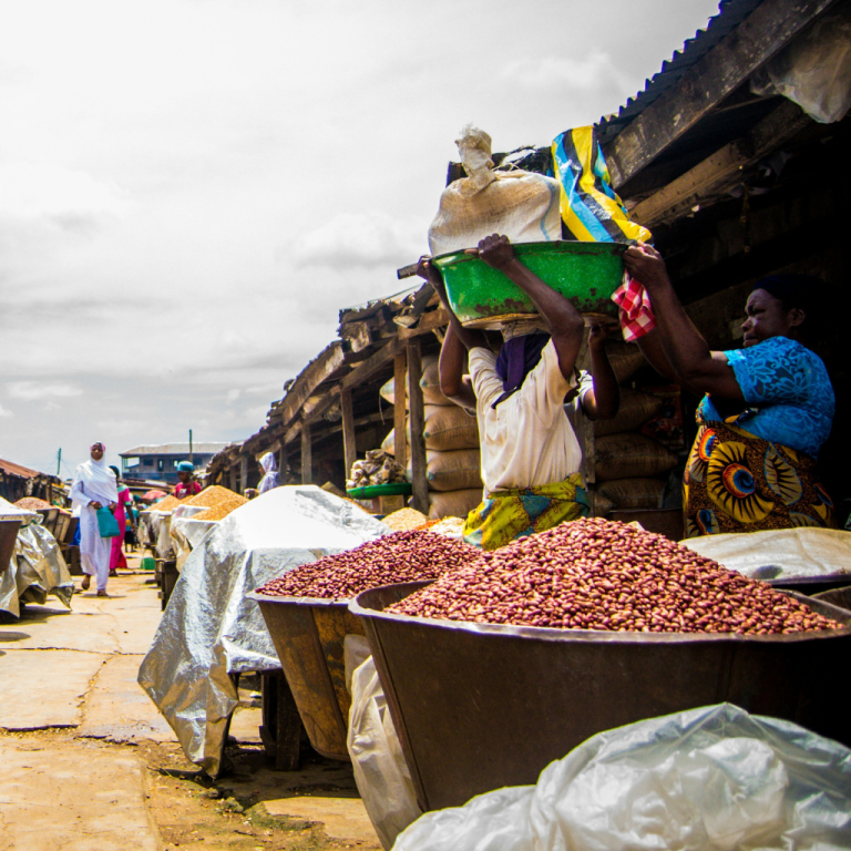 DIGISOL Project’s Vision for Sustainable Agriculture and Digital Inclusion in Nigeria