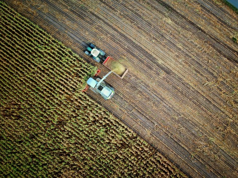 Cultivating Change: DIGISOL Project Workshops Transforming Nigerian Agriculture 