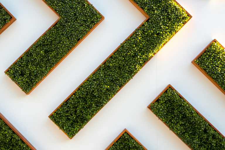 The Rise of Climate and Clean Tech Startups: Driving Innovation for a Sustainable Future