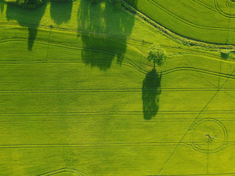 The EU Moves Toward a Circular Economy: New Ecodesign Rules Adopted