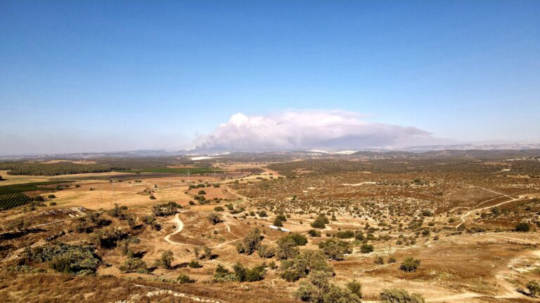 From Land Management to AI: New Solutions to Reduce Wildfire Risk